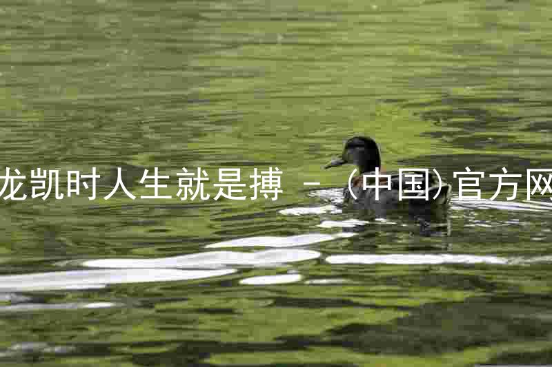 尊龙凯时人生就是搏 - (中国)官方网站